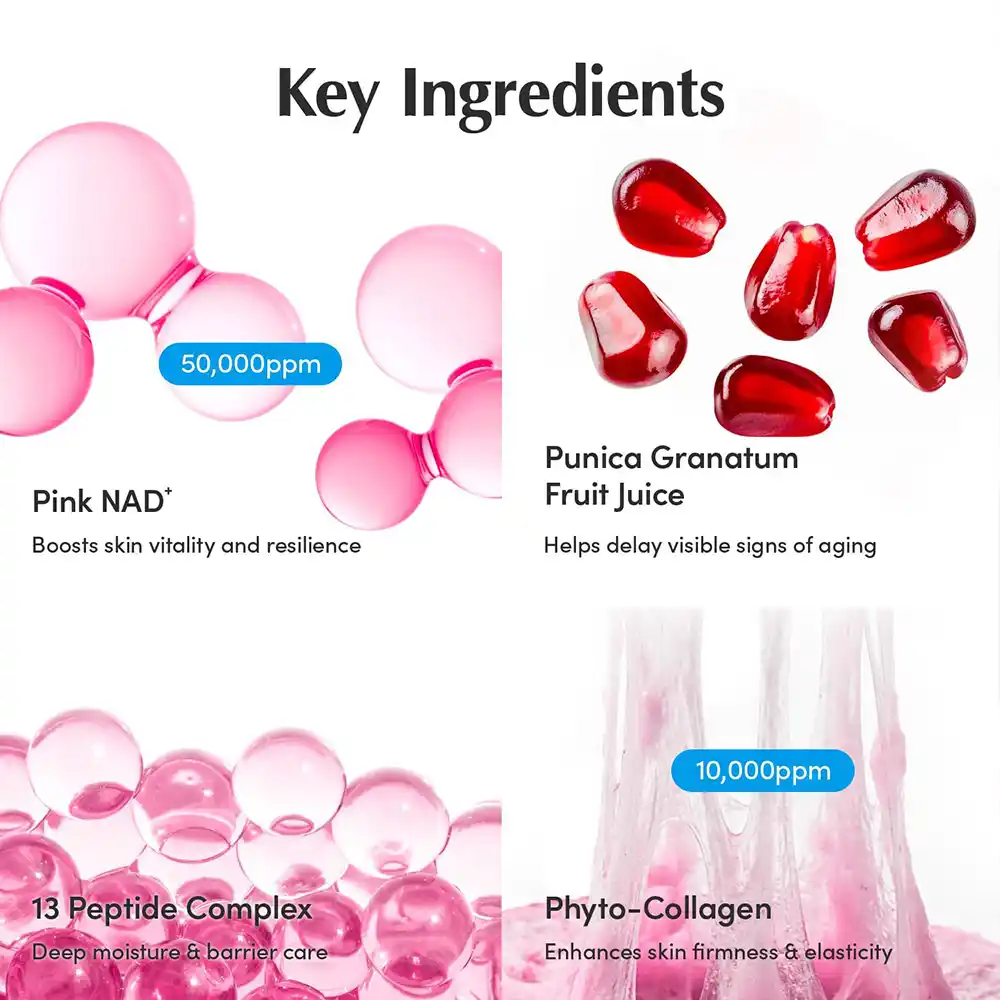 کرم NAD+ و پپتاید اکوال بری ضد چروک و جوان‌ساز EQQUALBERRY NAD+ Peptide Boosting Cream