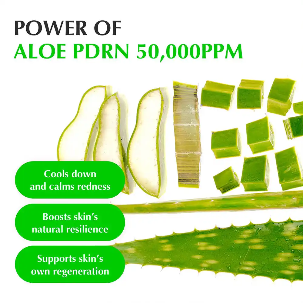 سرم PDRN و آلوئه‌ورا اکوال بری EQQUALBERRY Aloe PDRN Calming Serum