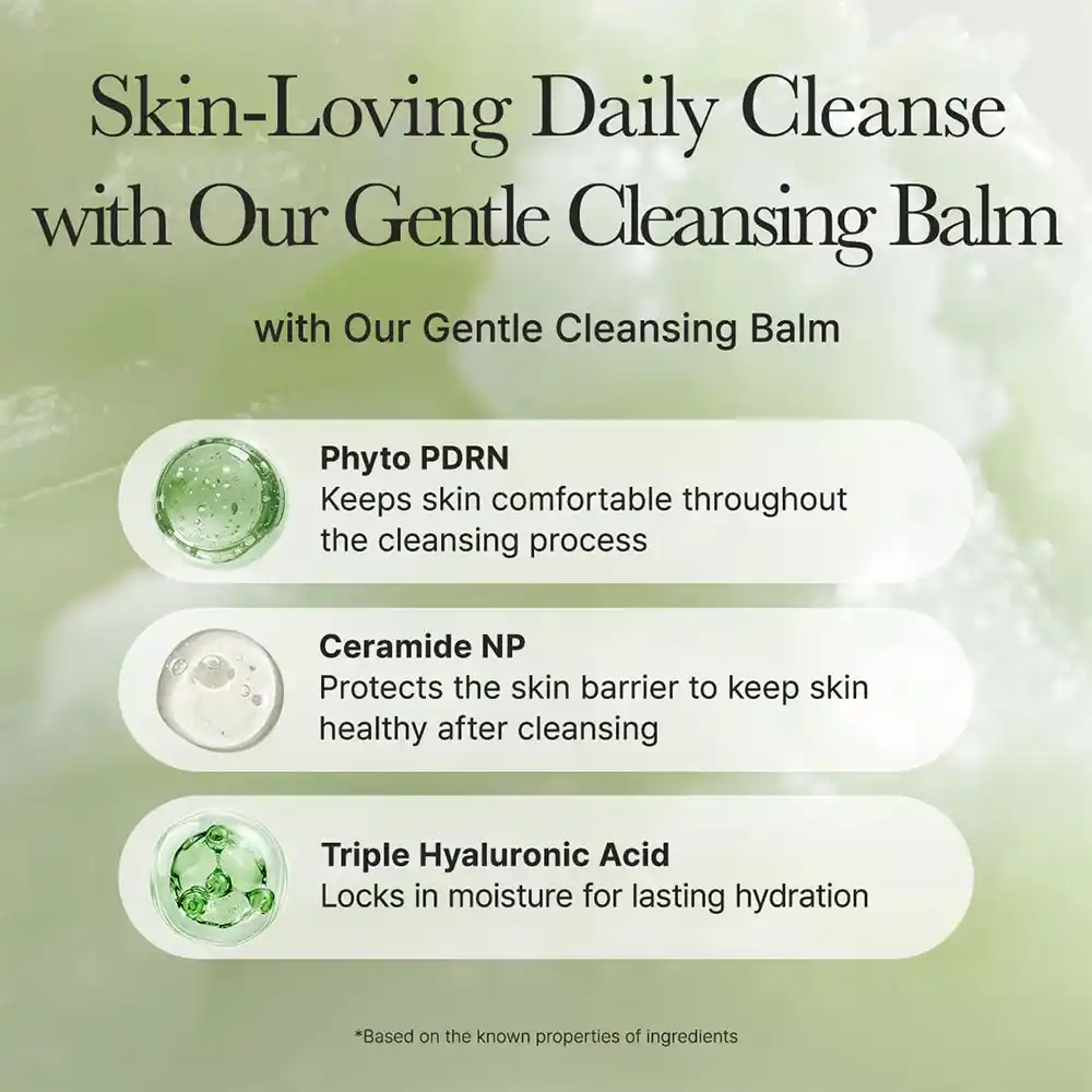 بالم پاک کننده عمقی منافذ آرنسیا ARENCIA Pore Melt Phyto PDRN Cleansing Balm | پاک کننده آرایش و جوش سرسیاه