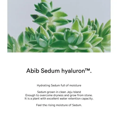 فوم شستشوی پاک کننده عمقی ابیب سدوم هیالورون Abib Deep Clean Foam Cleanser Sedum Hyaluron | آبرسانی و تقویت سد دفاعی پوست
