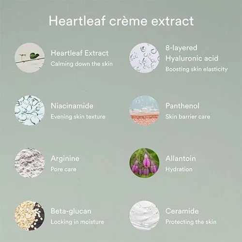 کرم تسکین دهنده هارتلیف ابیب  Abib Heartleaf Cream Calming Tube |  مرطوب کننده و کمک به کاهش قرمزی وآبرسان