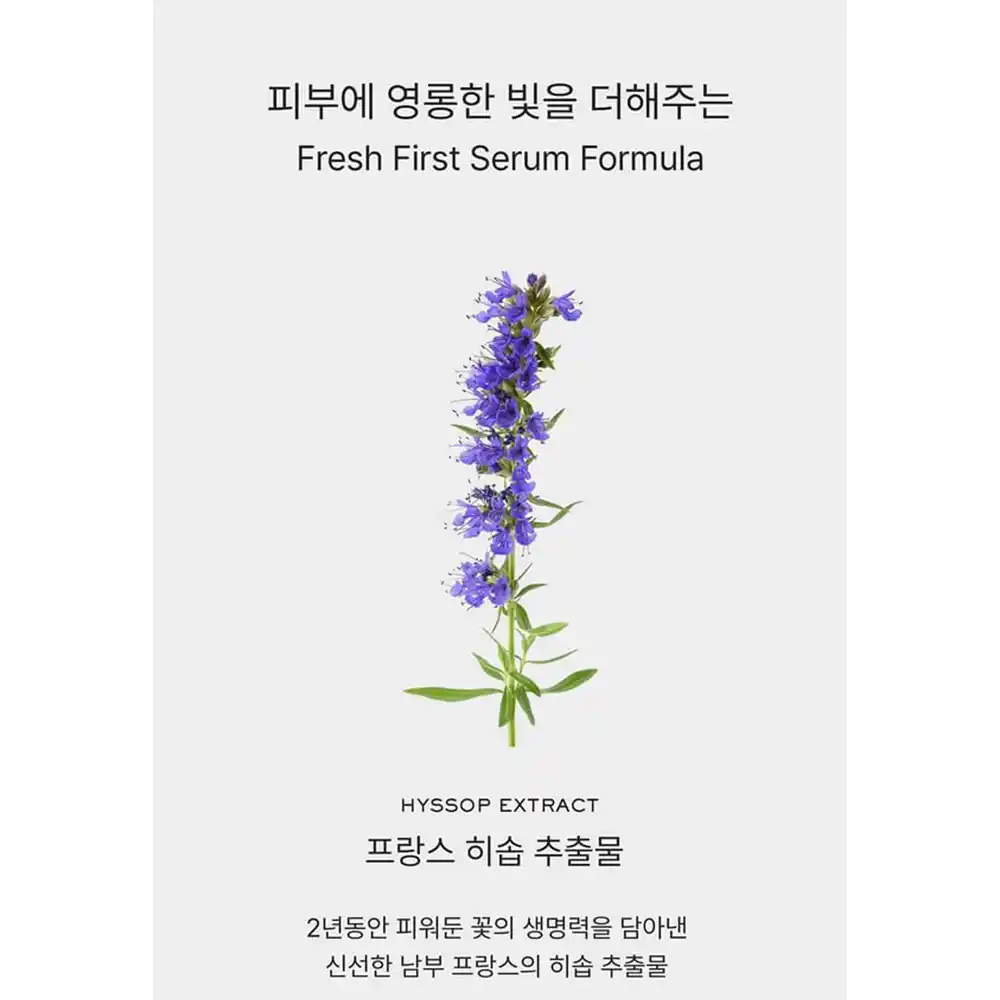 سرم ماسک تسکین دهنده و روشن کننده آرنسیا Holy Hyssop Serum | ضد لک، آبرسان و درخشان کننده پوست